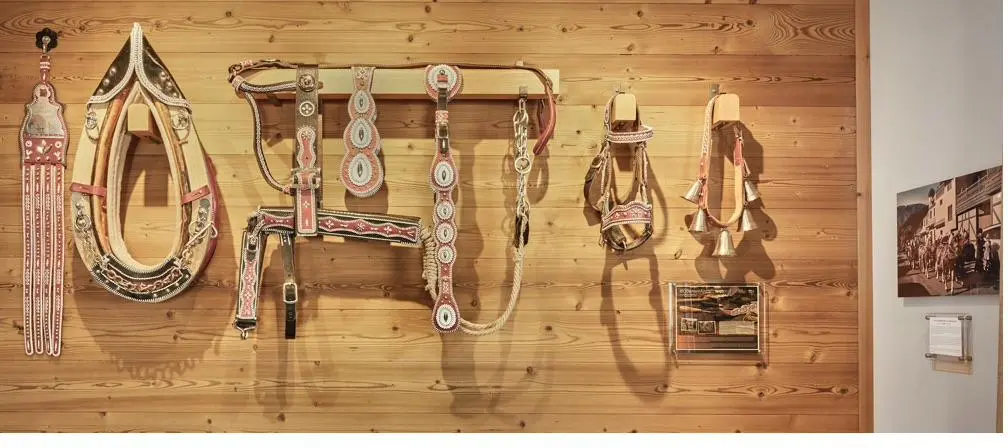 Haflinger ceremonial parade harness